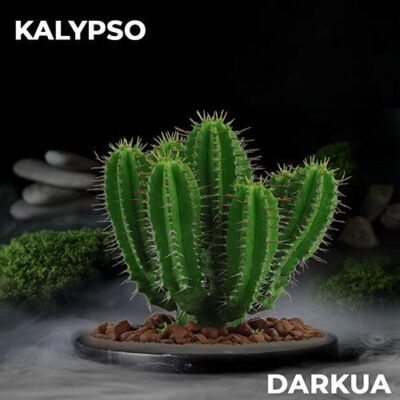 Тютюн DARKUA Kalypso 100 гр