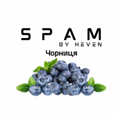 Тютюн Spam Чорниця 100 гр